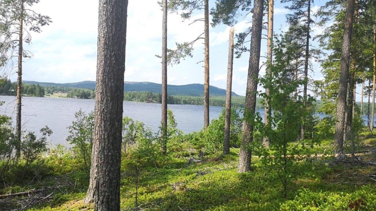 Photo of Outdoor in Bjorsjo