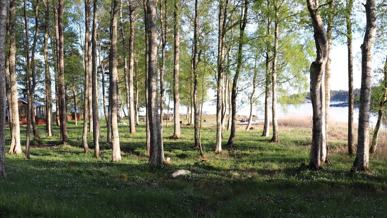 Photo of Outdoor in Stockenas