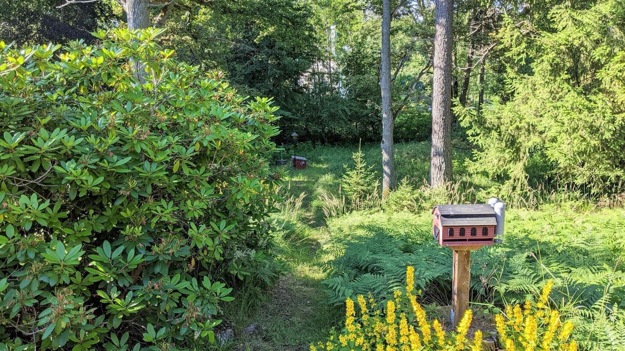 Photo of Outdoor in Gustavsvik
