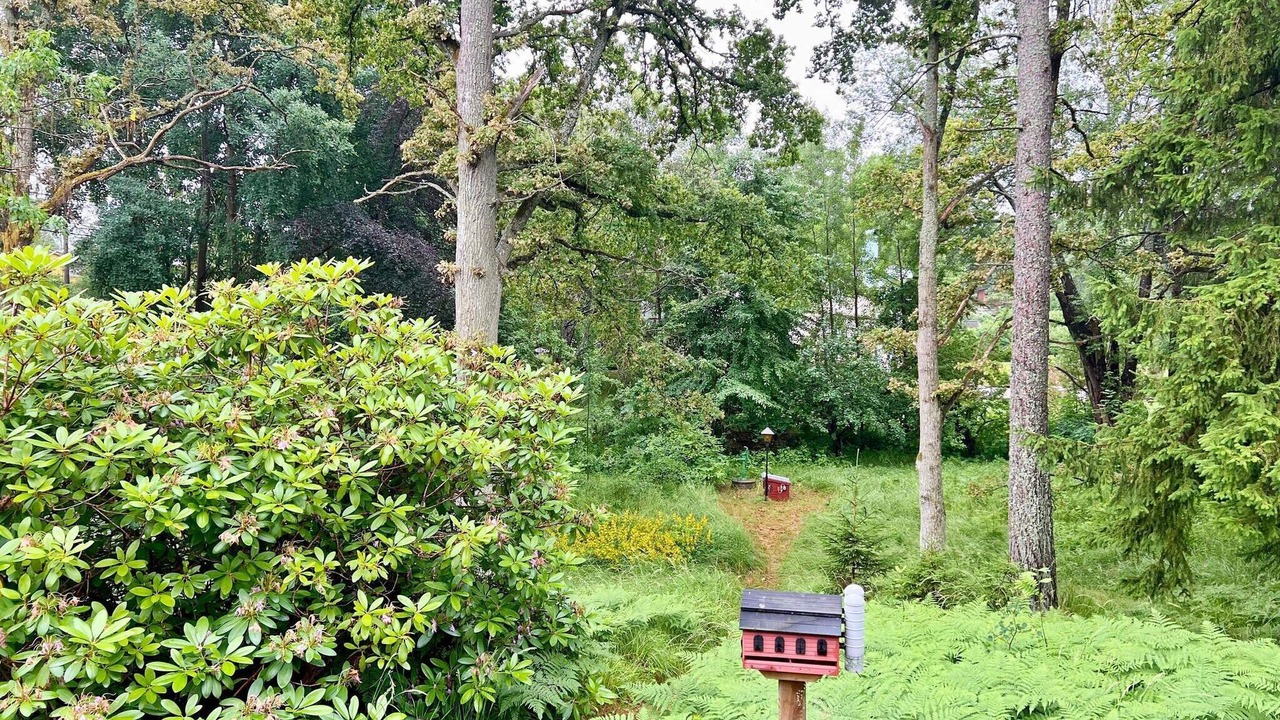 Photo of Outdoor in Gustavsvik