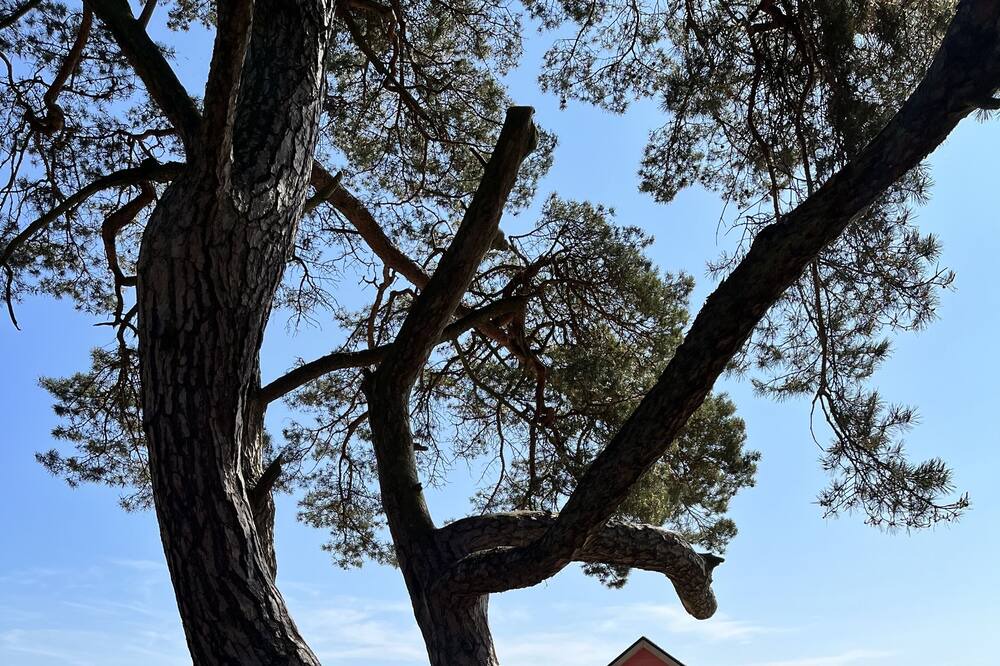 Photo of Outdoor in Aahus