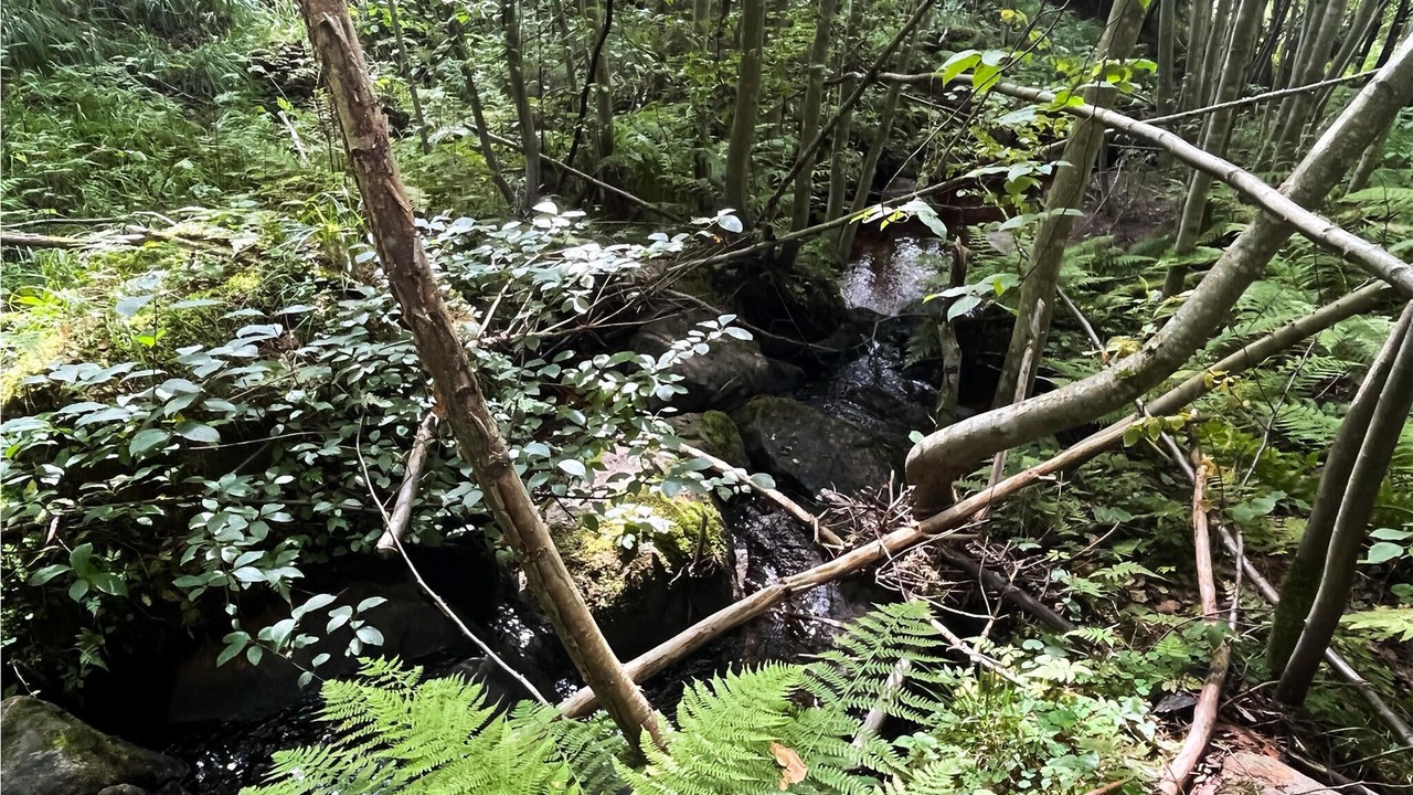 Photo of Outdoor in Sunnemo