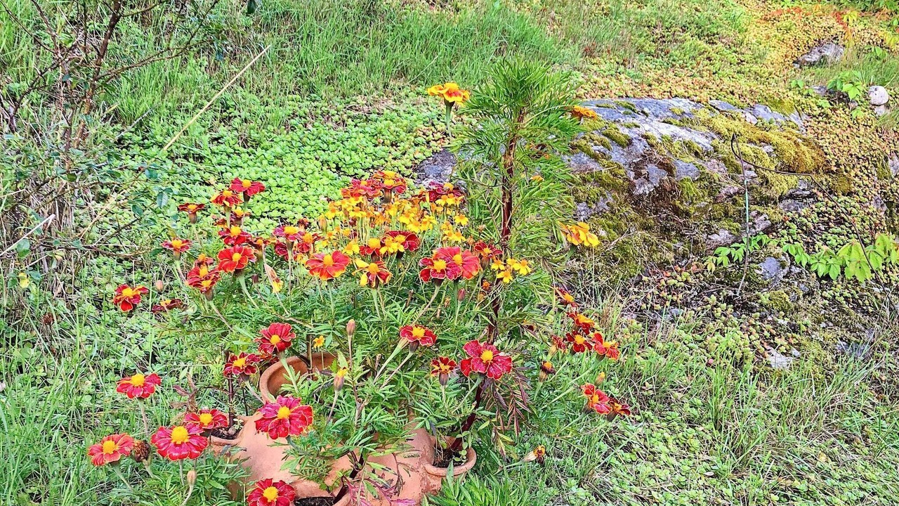 Photo of Outdoor in Tyreso O