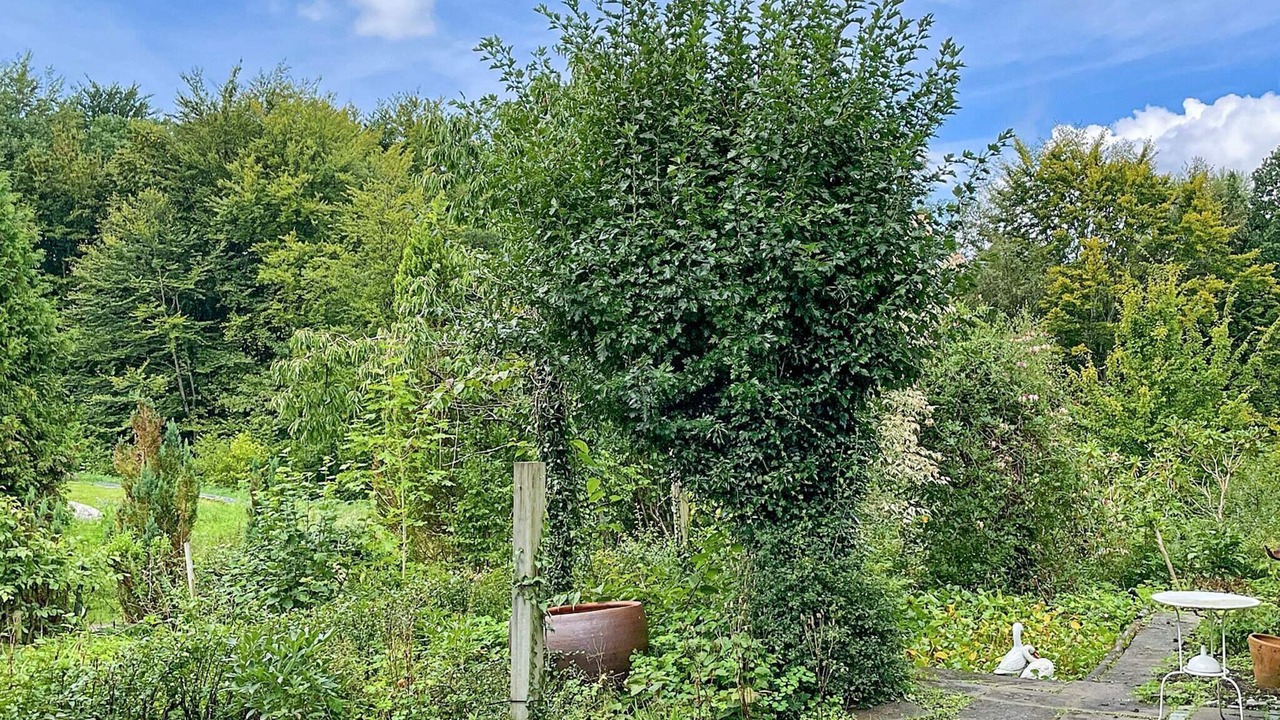 Photo of Outdoor in Tyringe