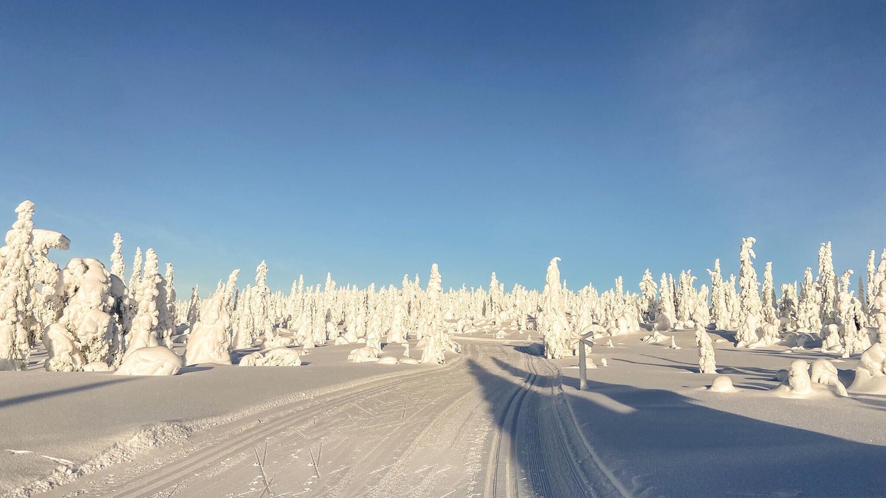 Photo of Others in Trysil