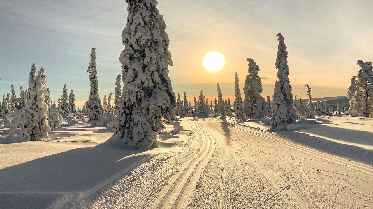 Photo of Others in Trysil