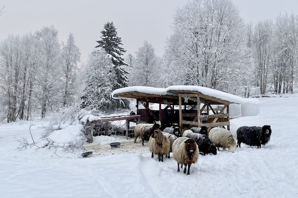Photo of Outdoor in Stromsund Municipality