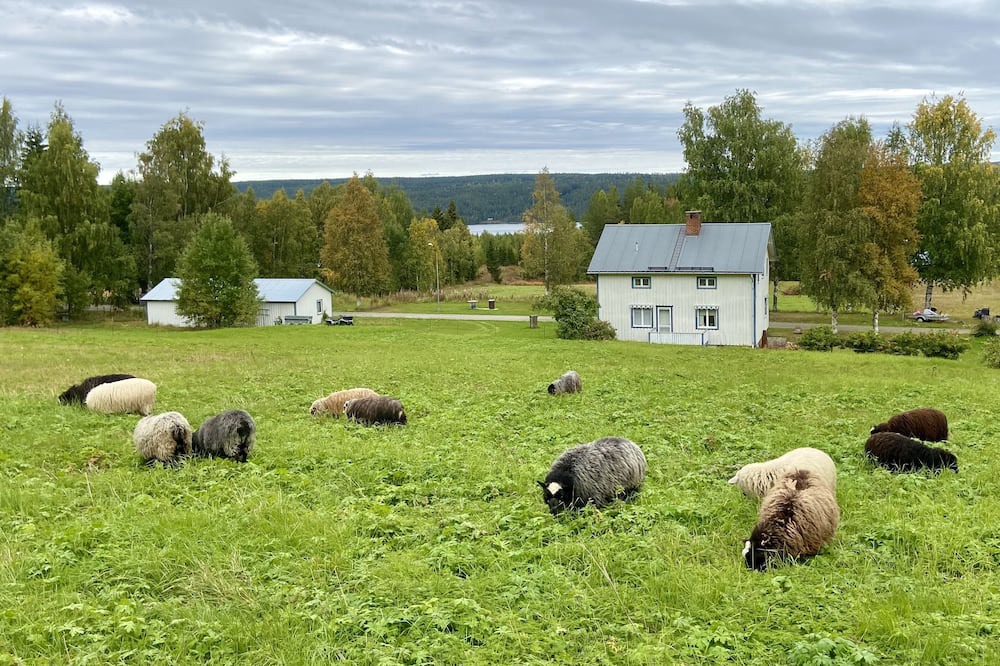 Photo of Outdoor in Stromsund Municipality