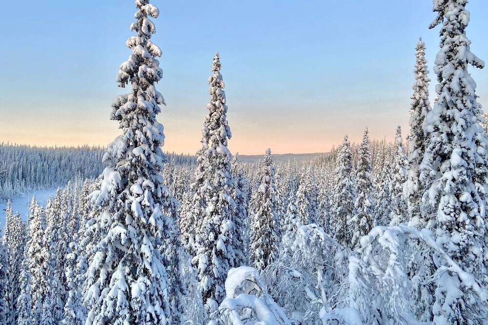 Photo of Others in Stromsund Municipality