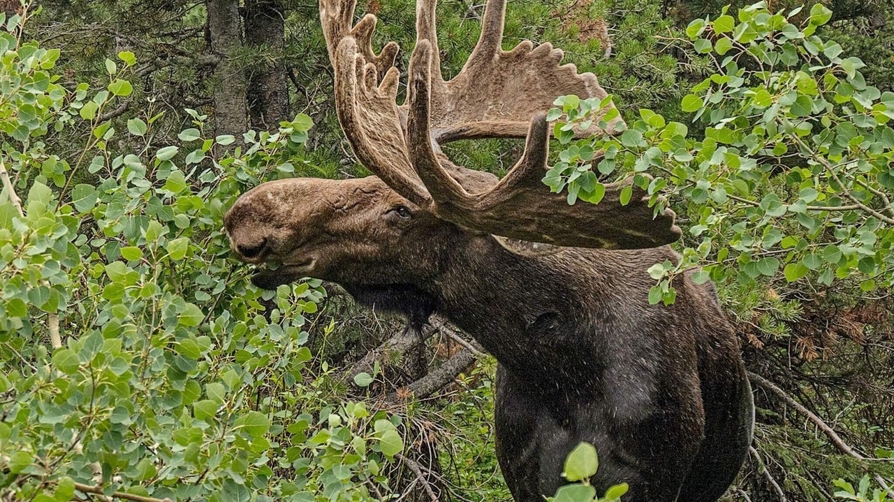 Photo of Others in Stoten