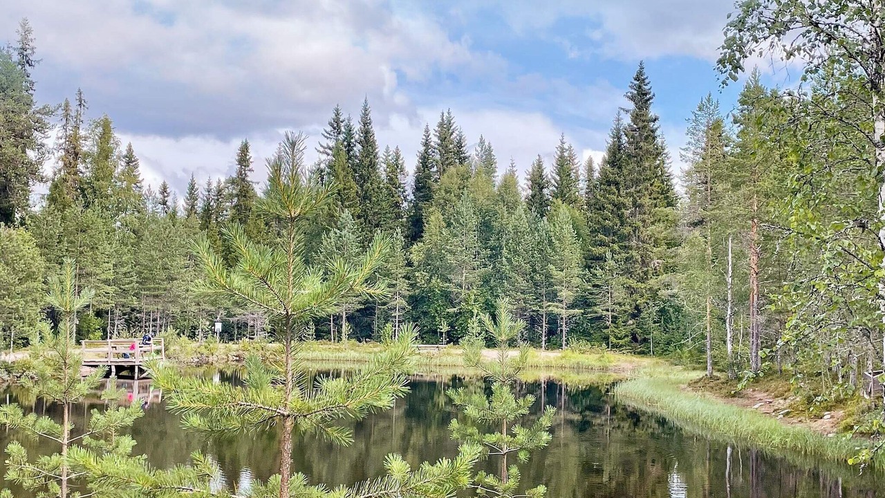 Photo of Others in Stoten