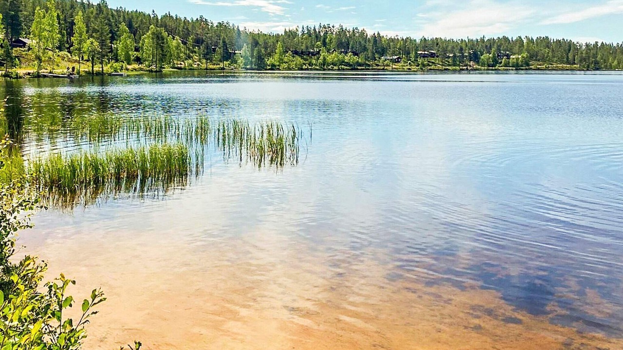 Photo of Others in Stoten