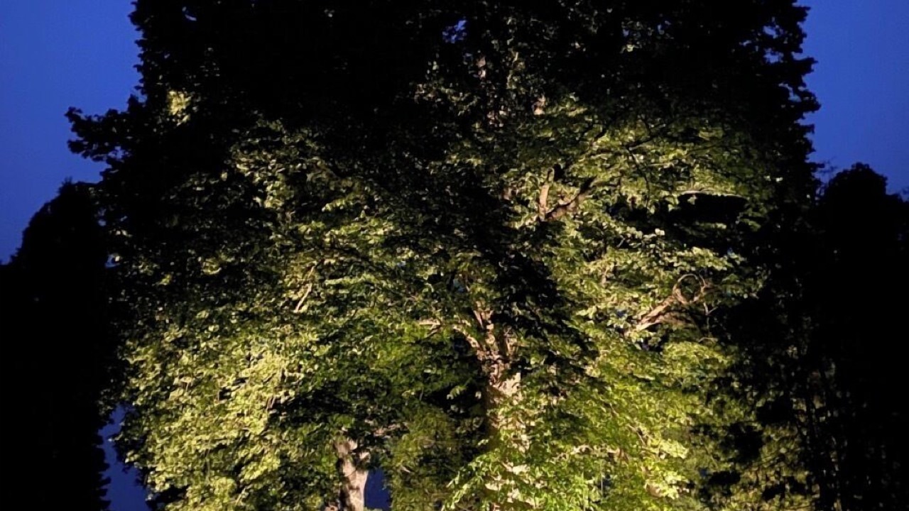 Photo of Outdoor in Vibble