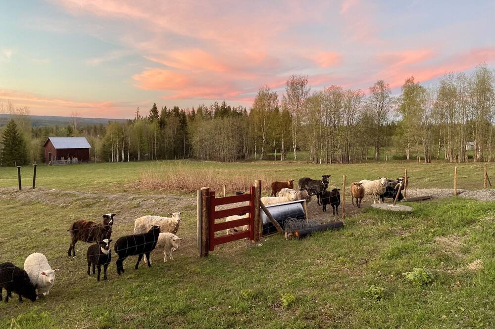 Photo of Others in Stromsund Municipality