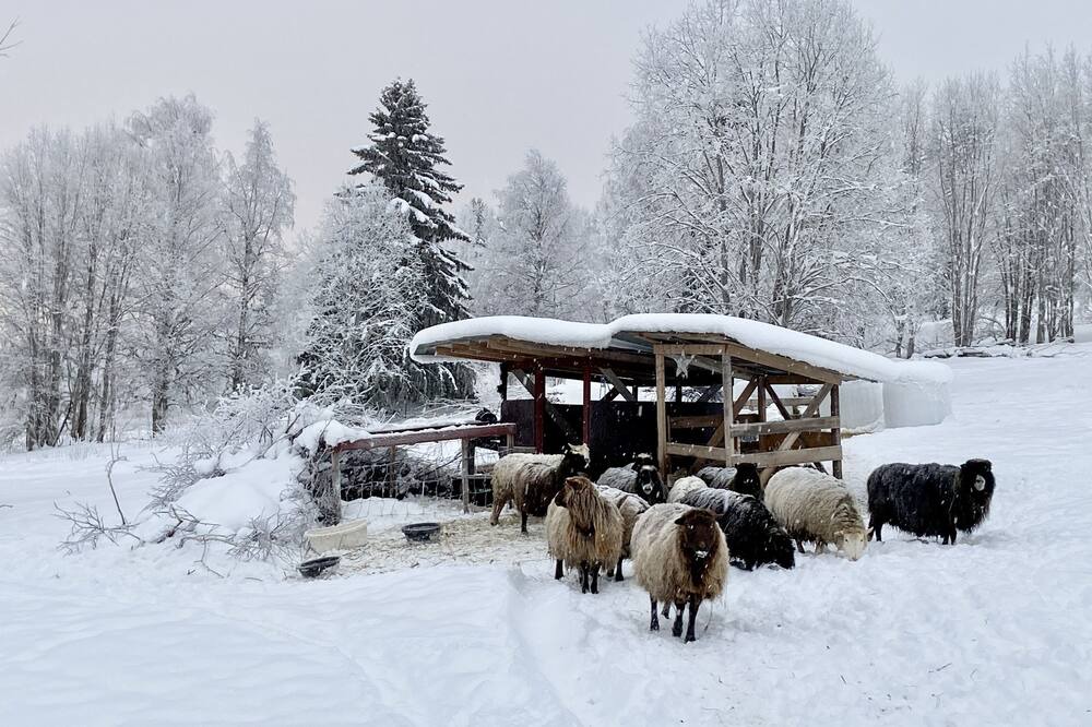 Photo of Outdoor in Stromsund Municipality