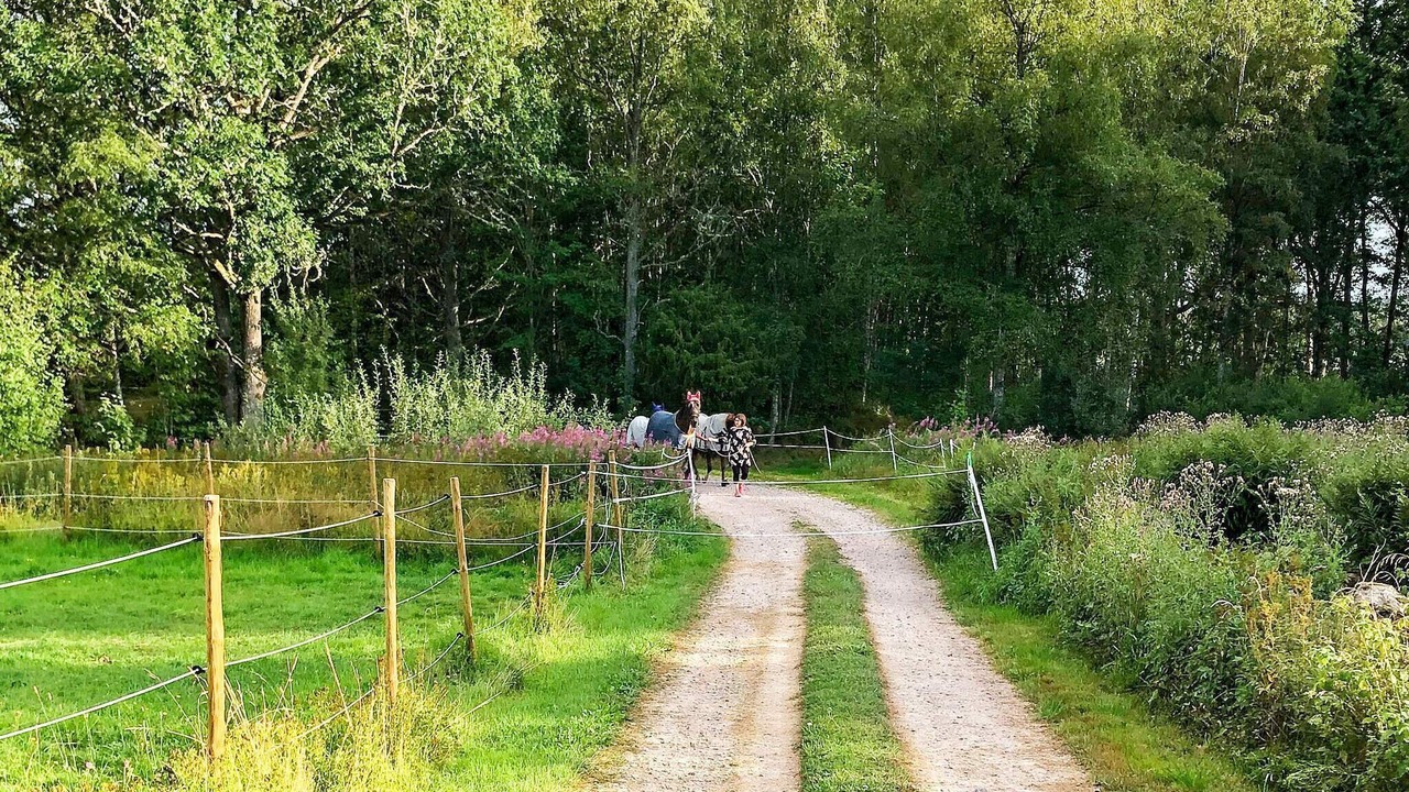 Photo of Others in Korsberga