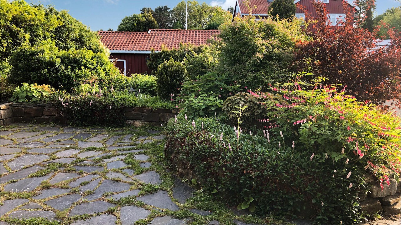 Photo of Outdoor in Risor
