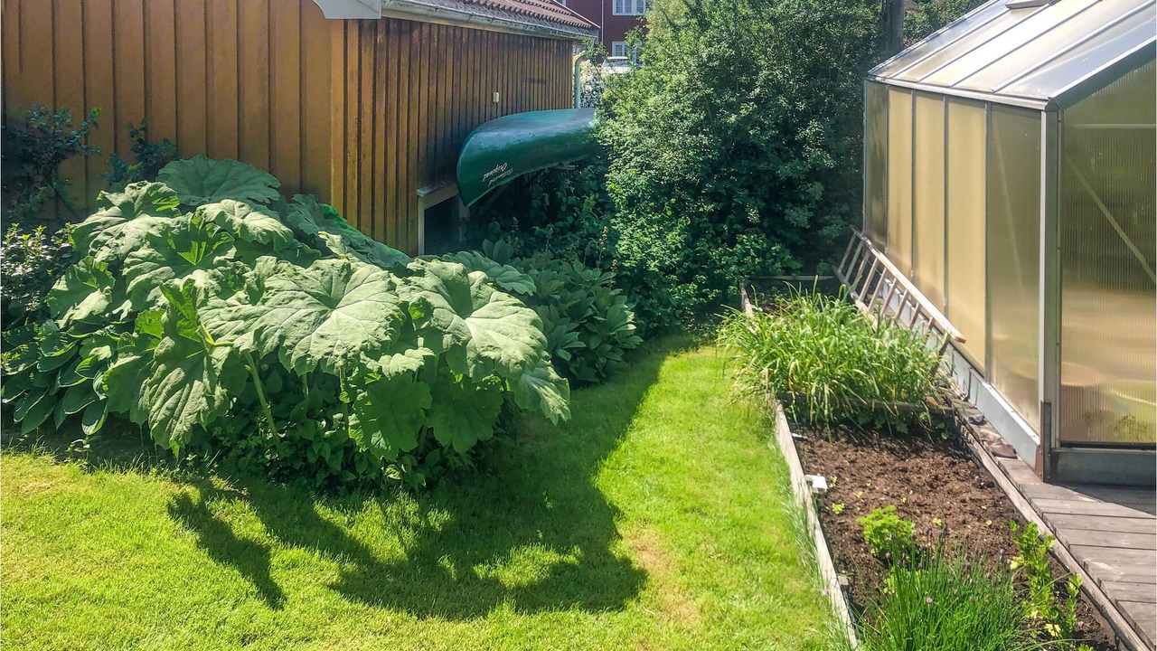 Photo of Outdoor in Risor