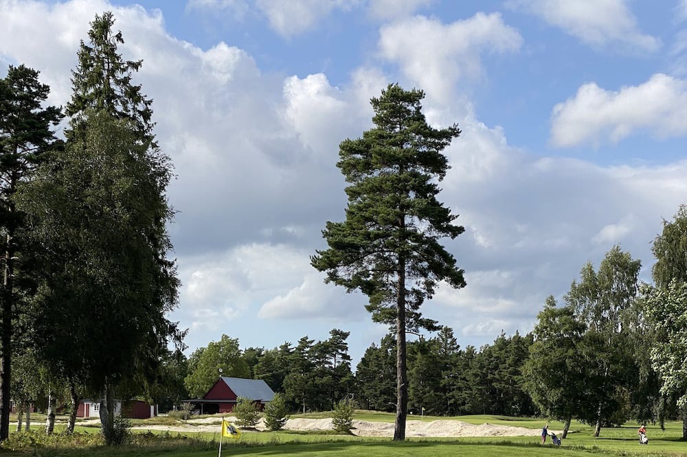 Photo of Others in Tingstade