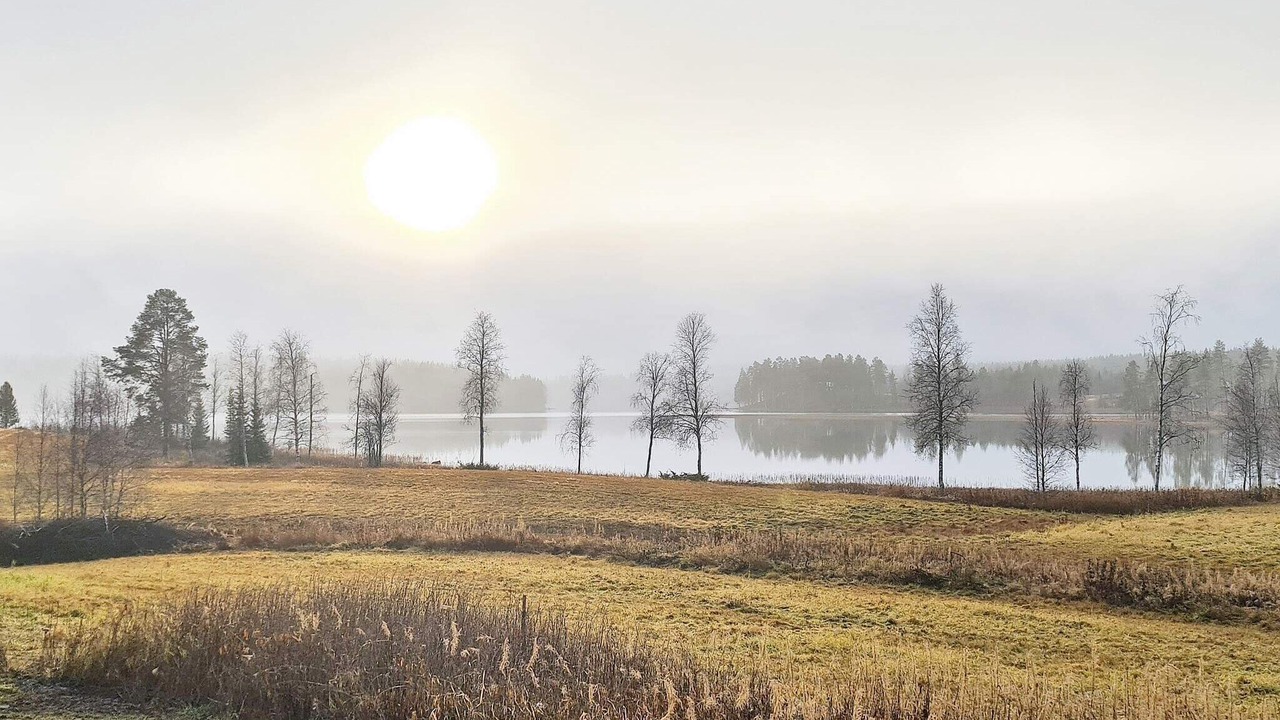 Photo of Outdoor in Bjurholm