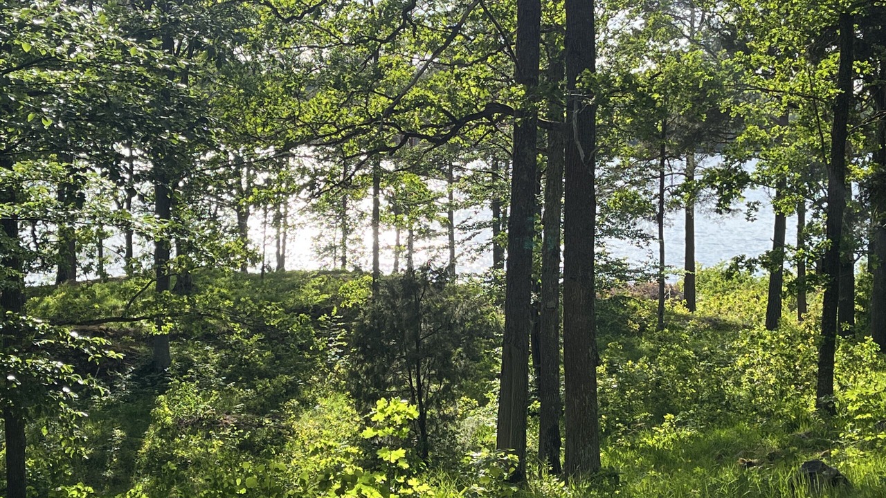 Photo of Outdoor in Fagerhult