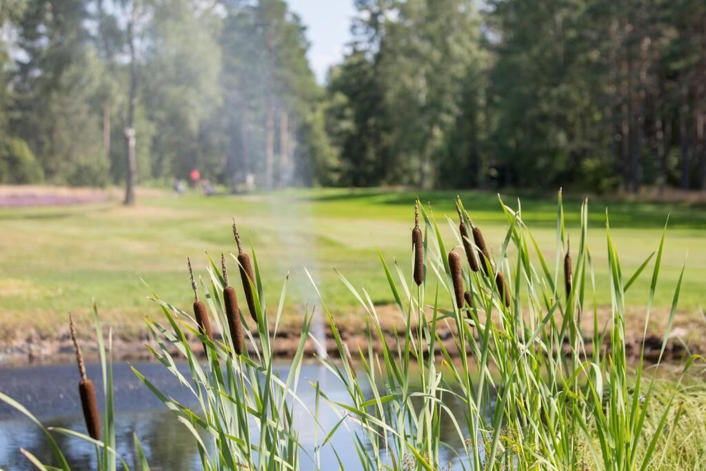 Photo of Outdoor in Vaggeryd Municipality