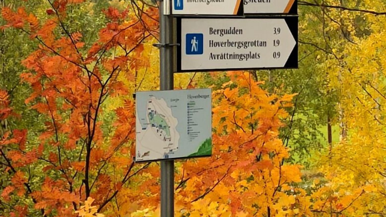 Photo of Outdoor in Svenstavik