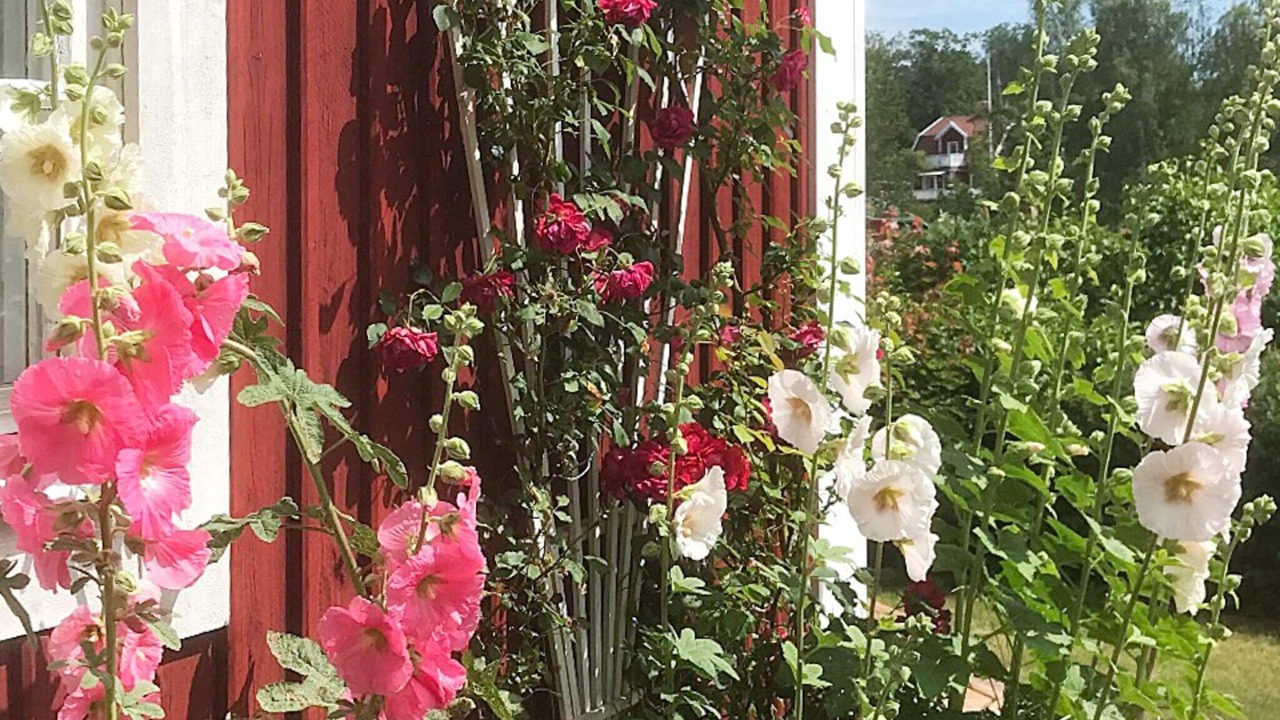 Photo of Outdoor in Farbo