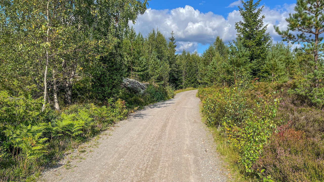 Photo of Outdoor in Svenstakan