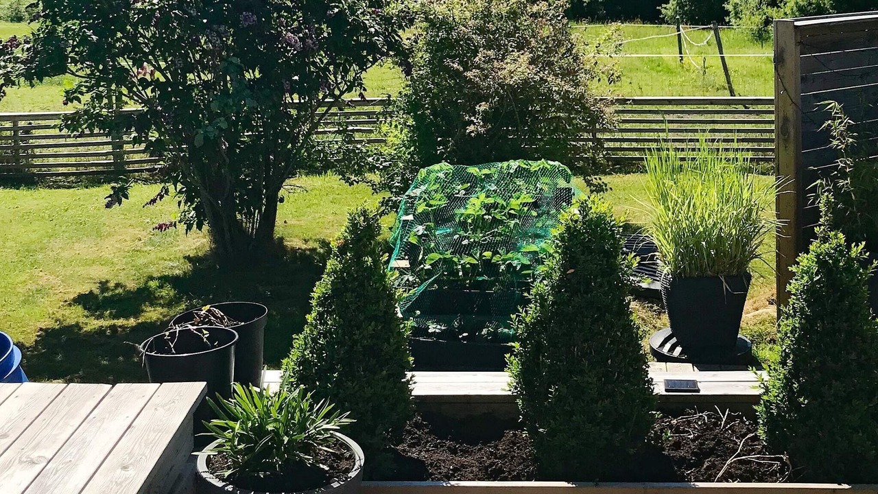 Photo of Outdoor in Stillingson