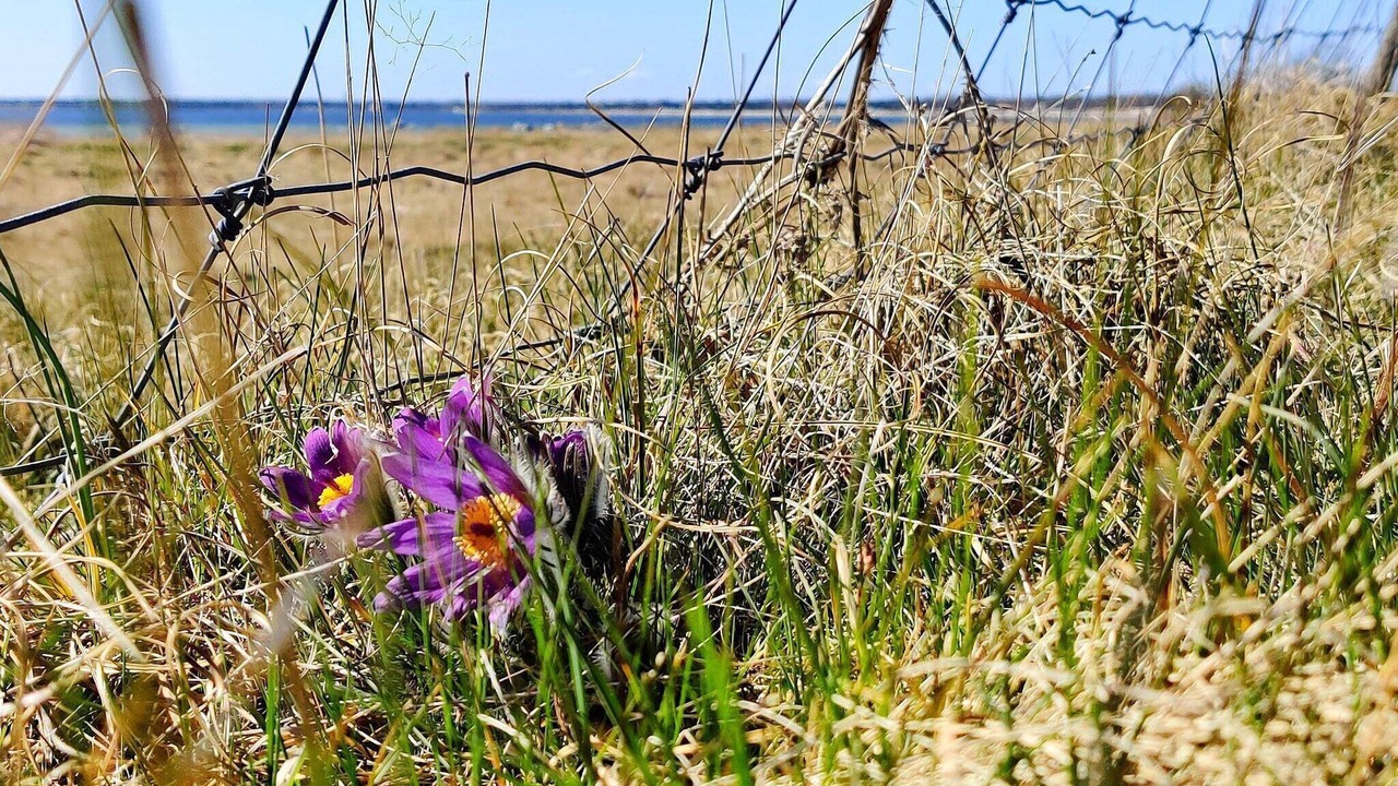 Photo of Outdoor in Hollviken