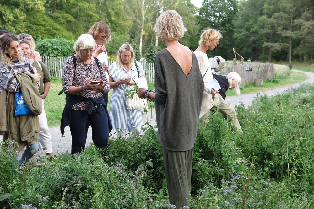 Photo of Others in Solna
