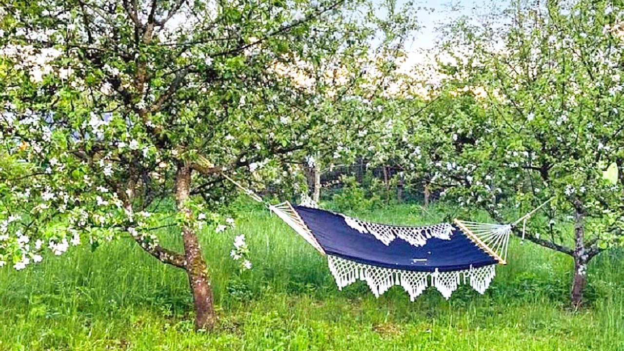 Photo of Outdoor in Andrarum