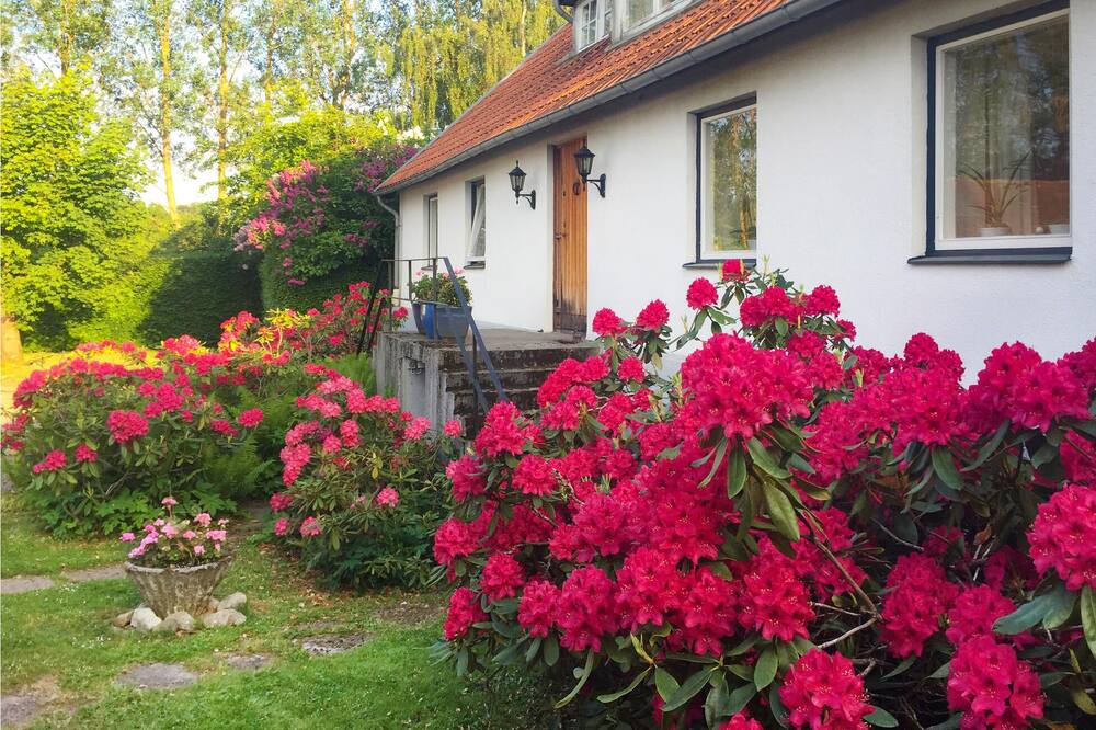 Photo of Outdoor in Vitaby