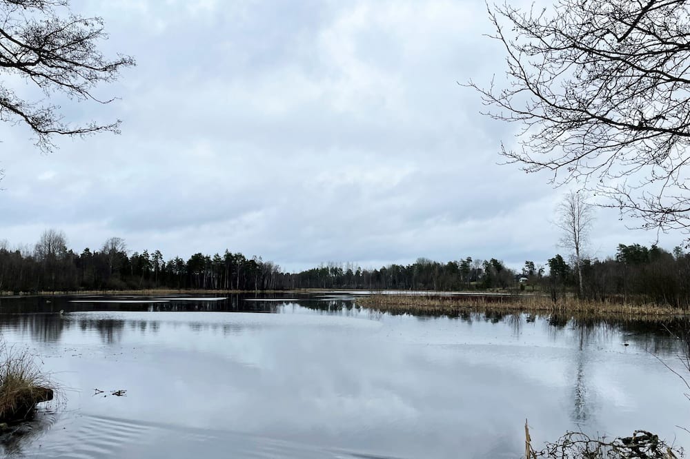 Photo of Others in Rydaholm