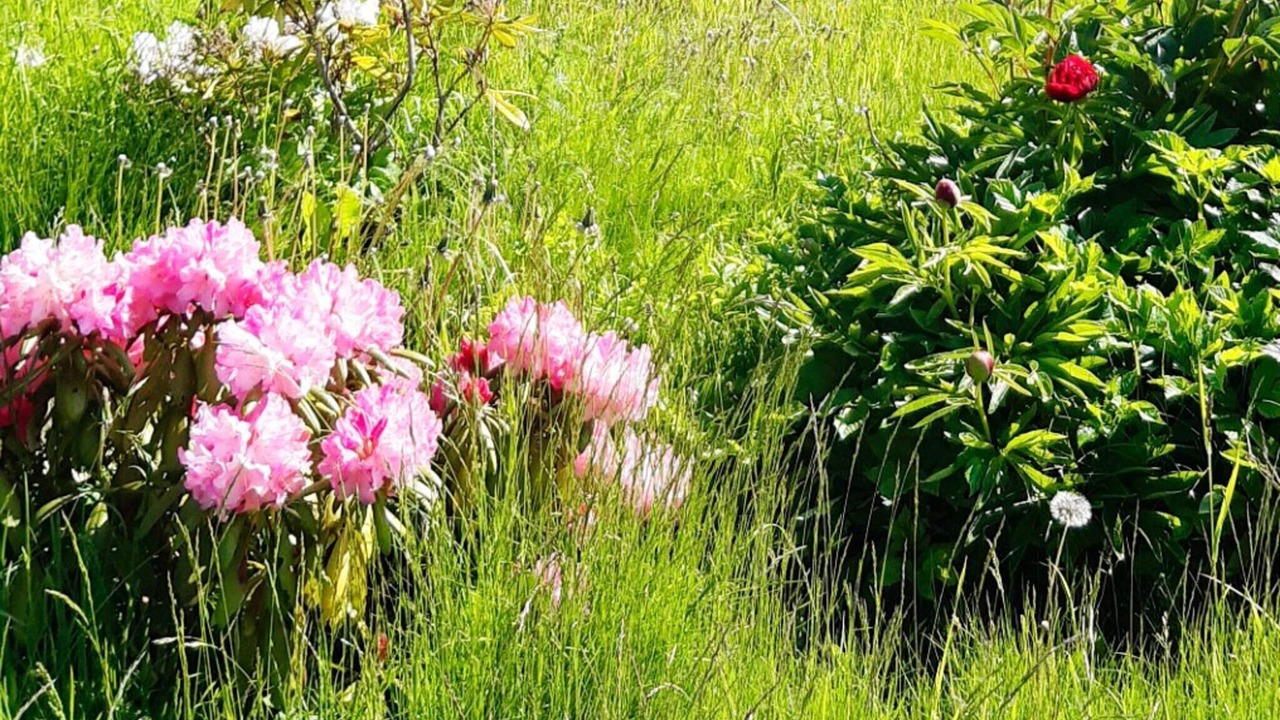 Photo of Outdoor in Animskog