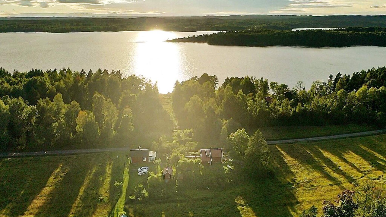 Photo of Others in Animskog