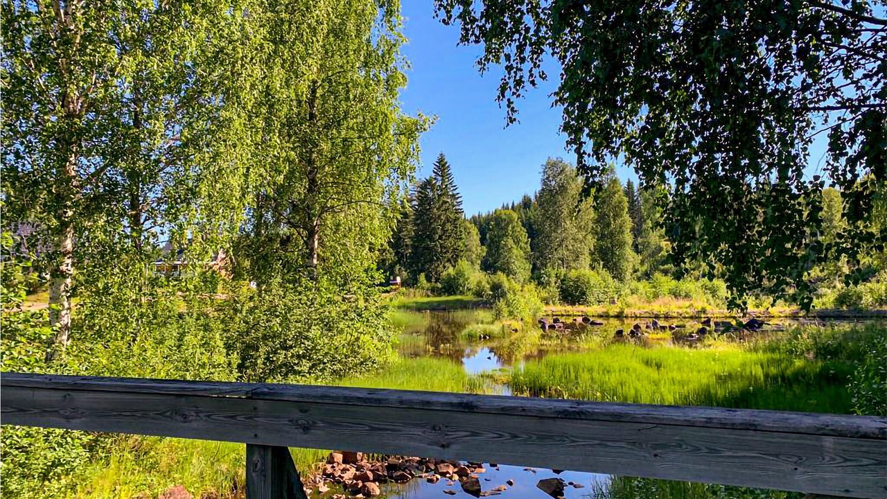 Photo of Others in Letafors