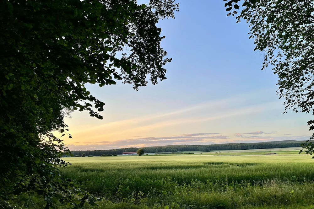 Photo of Outdoor in Kil