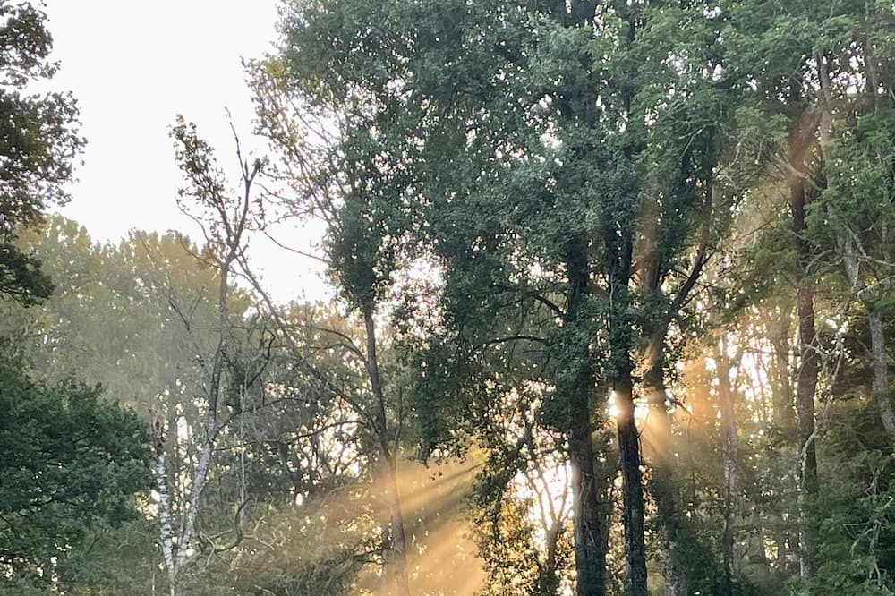 Photo of Outdoor in Kil