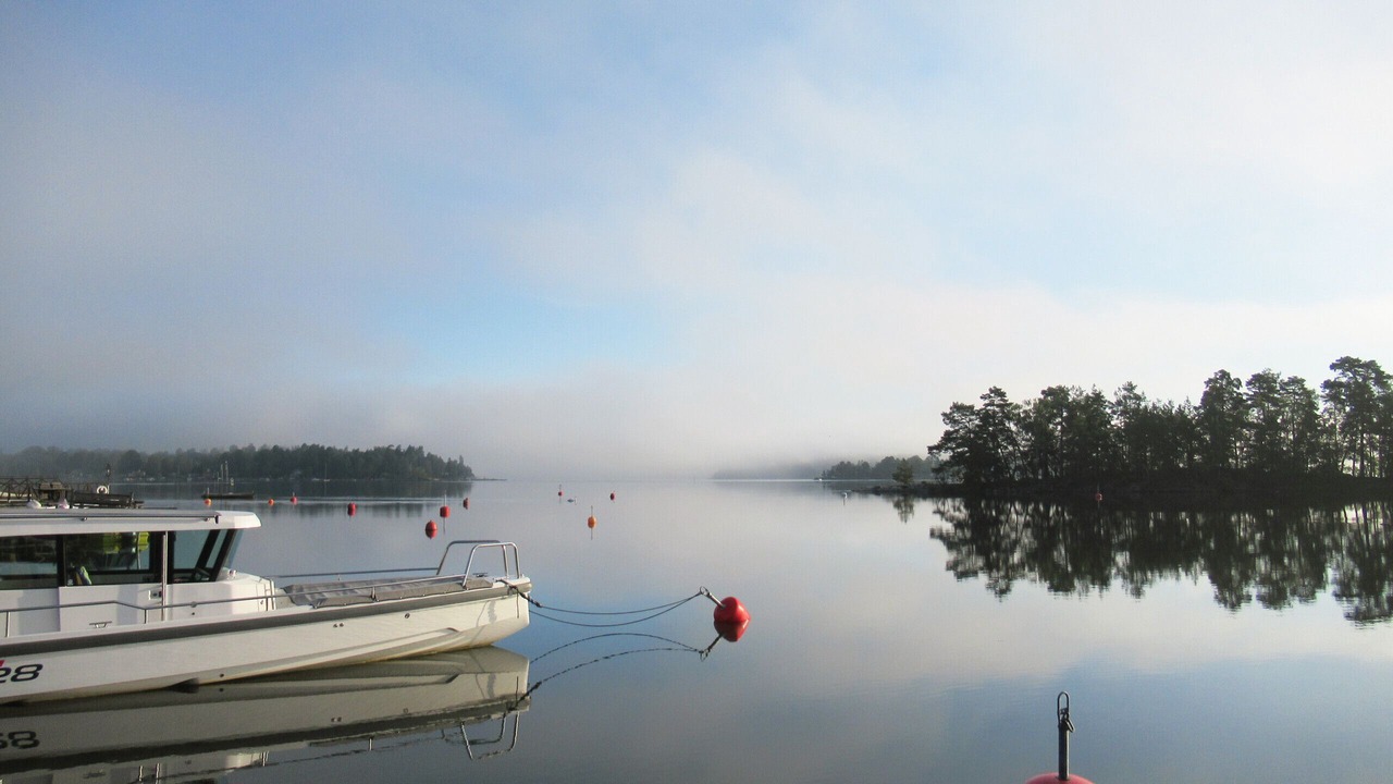 Photo of Others in Lidingo