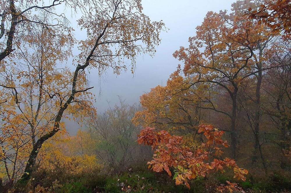 Photo of Outdoor in Ljungbyhed