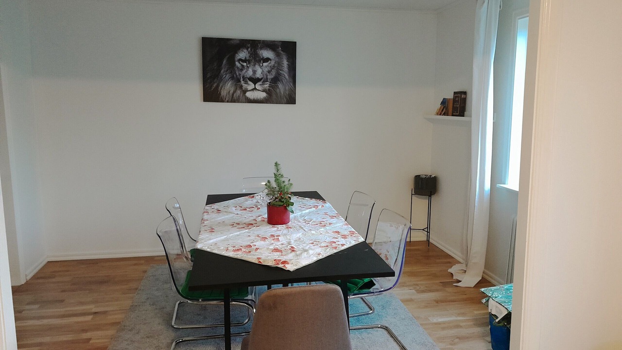 Photo of Others in Savedalen