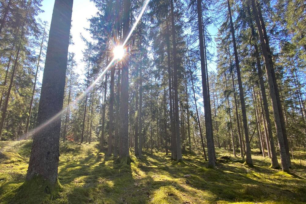 Photo of Others in Tvetaryd