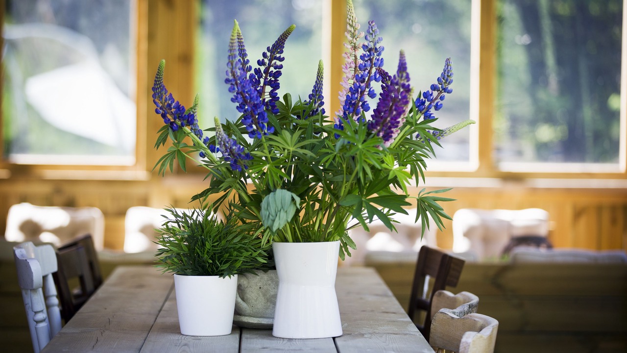 Photo of Patio Balcony in Arvika