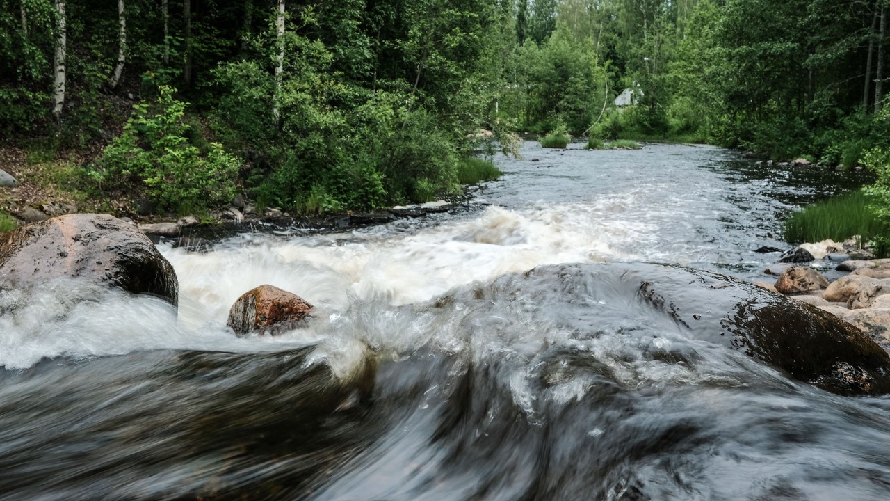 Photo of Others in Skelleftea
