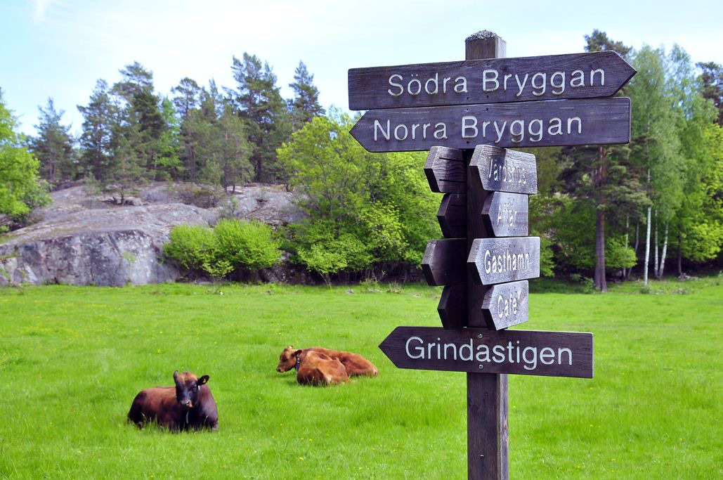 Photo of Outdoor in Grinda