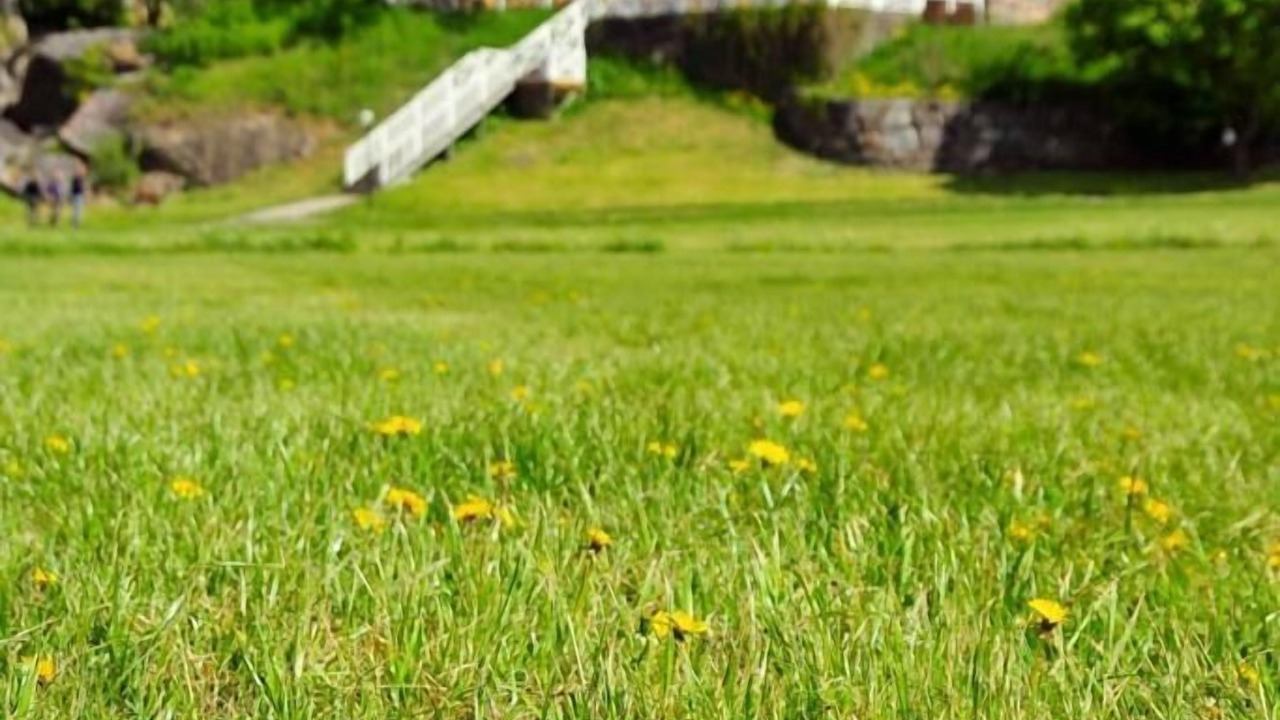 Photo of Outdoor in Grinda