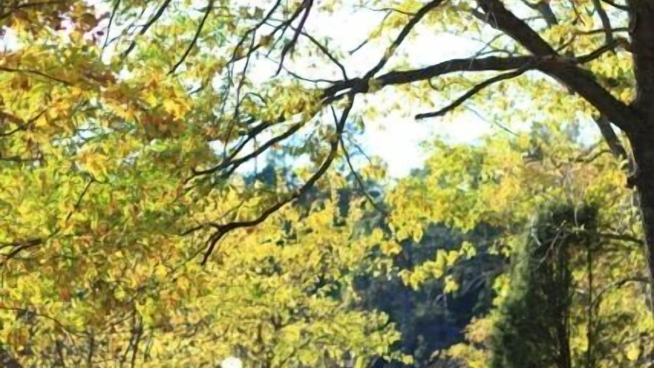 Photo of Outdoor in Grinda