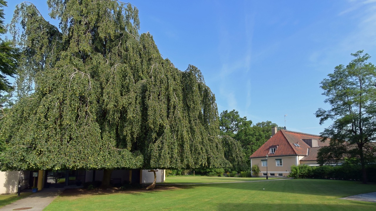 Photo of Outdoor in Hoor